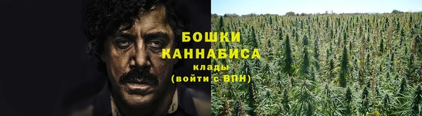 ГАЛЛЮЦИНОГЕННЫЕ ГРИБЫ Покров