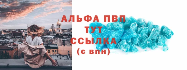 стафф Иннополис