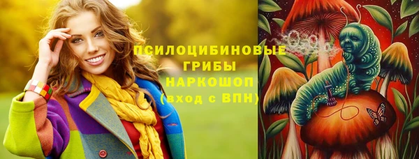 ГАЛЛЮЦИНОГЕННЫЕ ГРИБЫ Покров
